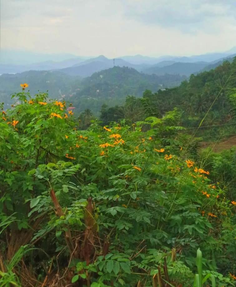 Kandy Ivy Mountain View Resort 外观 照片
