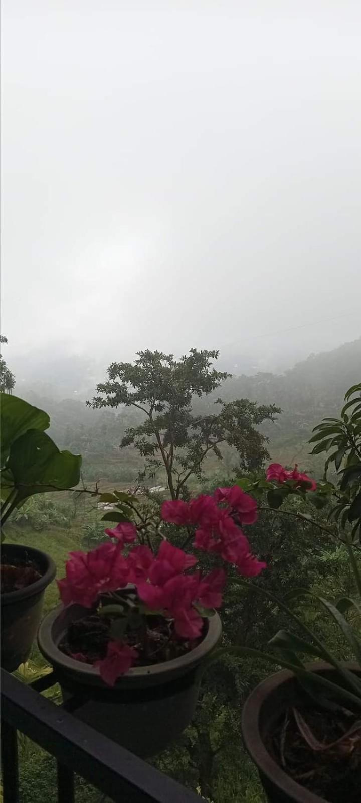 Kandy Ivy Mountain View Resort 外观 照片