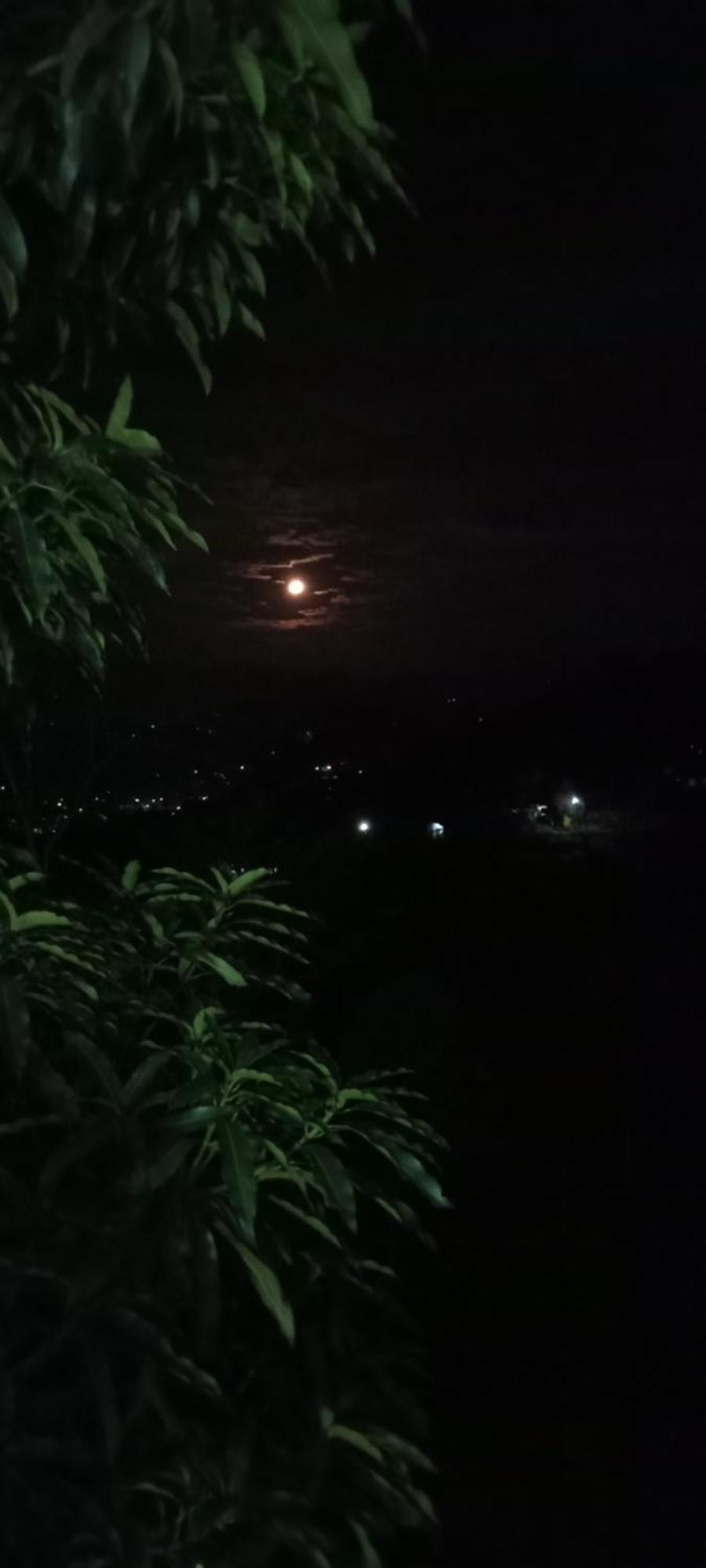 Kandy Ivy Mountain View Resort 客房 照片